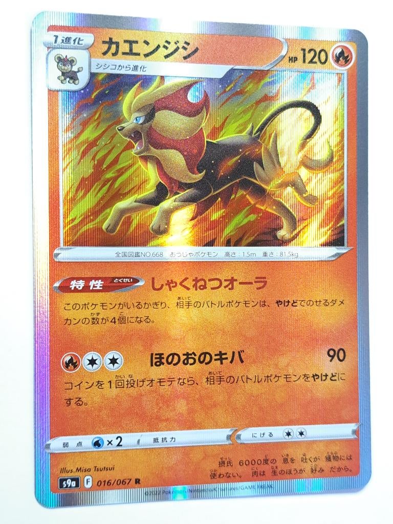 Pokémon - Battle Region - Pyroar - 016/067 - Holo, Verzenden, Zo goed als nieuw, Losse kaart, Foil