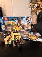 Lego Harry Potter Hongaarse Hoornstaart Toernooi, Ophalen of Verzenden, Zo goed als nieuw, Complete set, Lego