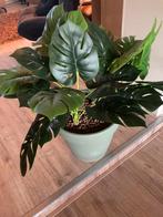 Grote pot met mooie kunststof planten, Huis en Inrichting, Kamerplanten, Overige soorten, In pot, Minder dan 100 cm, Groene kamerplant