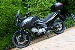 Suzuki VSTROM DL 650 | DL650 BLACK RHINO (bj 2008), Motoren, Motoren | Suzuki, Particulier, Meer dan 35 kW, Toermotor, 645 cc