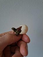 Schildpad jong kruipt uit ei, kunsthars 4x2x2cm, Ophalen of Verzenden, Zo goed als nieuw, Wild dier, Beeldje of Figuurtje