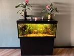Juwel Rio 240 liter+ meubel + extern filter, Dieren en Toebehoren, Vissen | Aquaria en Toebehoren, Ophalen, Zo goed als nieuw
