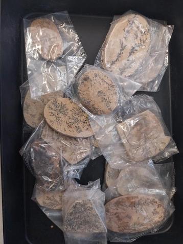 Partij met dendriet zandsteen cabochons beschikbaar voor biedingen