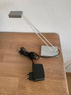 Led - Lenser Lampje, Ophalen of Verzenden, Nieuw