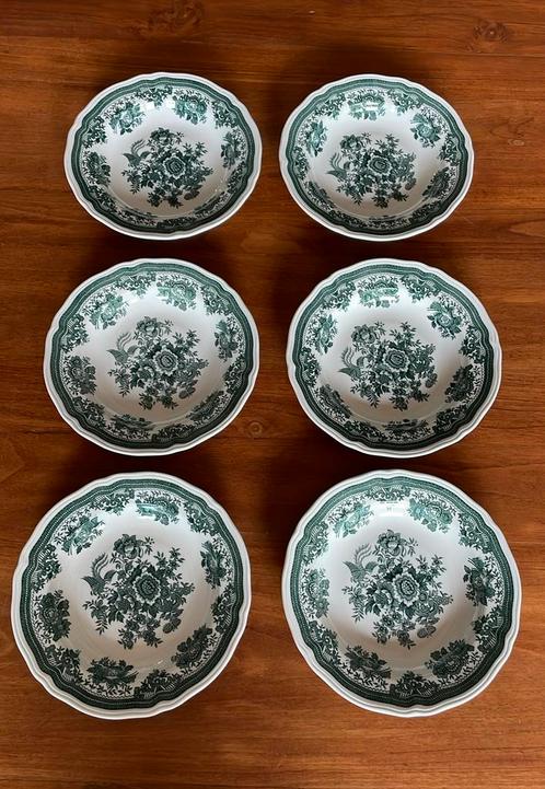 6 Villeroy & Boch Fasan diepe borden groen, Huis en Inrichting, Keuken | Servies, Zo goed als nieuw, Bord(en), Overige stijlen