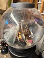 Biorb aquarium op voet, Ophalen, Gebruikt, Leeg aquarium
