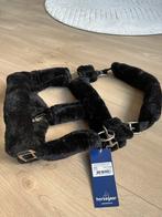 Bont halster Paard, Dieren en Toebehoren, Ophalen of Verzenden, Nieuw, Overige soorten