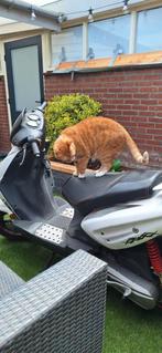 Keeway fact sport zgs, Ophalen, Gebruikt