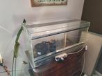 Terrarium 80x40x40 met barst, Dieren en Toebehoren, Reptielen en Amfibieën | Toebehoren, Ophalen, Gebruikt, Terrarium of Paludarium