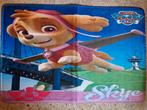 Paw patrol vloermat, Ophalen of Verzenden, Nieuw, Reclamebord