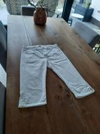 Nickjean kniebroek witte korte broek wit maat 40 M NIEUW !, Kleding | Dames, Maat 38/40 (M), Wit, Nieuw, Ophalen of Verzenden