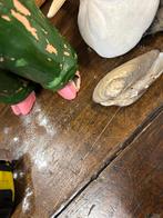 Oude Slagerij Display Varkens, Antiek en Kunst, Curiosa en Brocante, Ophalen of Verzenden