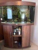 Aquarium te koop, Dieren en Toebehoren, Vissen | Aquaria en Toebehoren, Ophalen, Zo goed als nieuw, Gevuld zoetwateraquarium