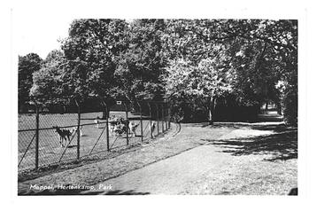 977228 Meppel Drenthe 1959 Hertenkamp Park Gelopen met zegel beschikbaar voor biedingen