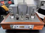 Thivan Labs Flamingo 300B buizenversterker, Ophalen of Verzenden, Versterker