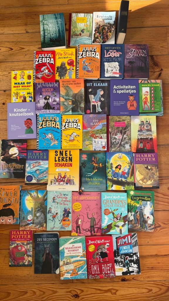 37 kinderboeken o.a. Harry Potter, Julius Zebra, Tonke Dragt, Boeken, Ophalen of Verzenden, Zo goed als nieuw