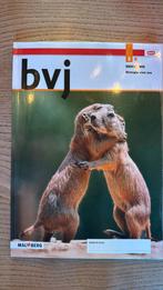 Leeropdrachtenboek B, Ophalen of Verzenden, Zo goed als nieuw, Overige niveaus, Nederlands