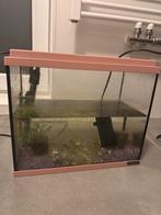 Aquarium roze, Dieren en Toebehoren, Vissen | Aquaria en Toebehoren, Ophalen, Zo goed als nieuw