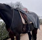 Kentucky heavy fleece uitrij deken nieuw, Ophalen of Verzenden, Nieuw