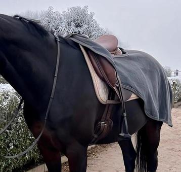 Kentucky heavy fleece uitrij deken nieuw beschikbaar voor biedingen