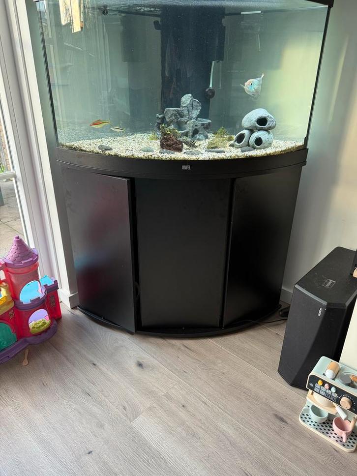 Juwel trigon 190 L, Dieren en Toebehoren, Vissen | Aquaria en Toebehoren, Zo goed als nieuw, Gevuld zoetwateraquarium, Ophalen