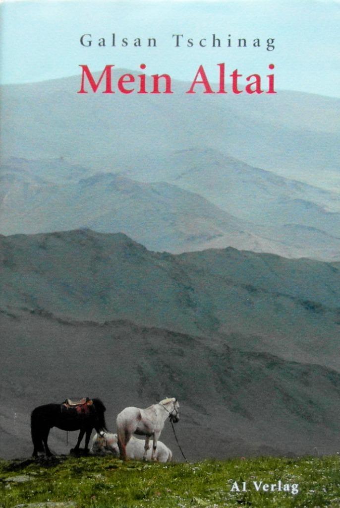 MEIN ALTAI, Boeken, Reisgidsen, Zo goed als nieuw, Reisgids of -boek, Europa, Overige merken, Ophalen of Verzenden