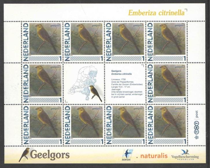 Postzegels Vogels in Nederland: Geelgors, Postzegels en Munten, Postzegels | Nederland, Postfris, Na 1940, Ophalen of Verzenden