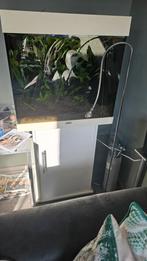 Volglas aquarium, Ophalen, Gebruikt, Gevuld zoetwateraquarium