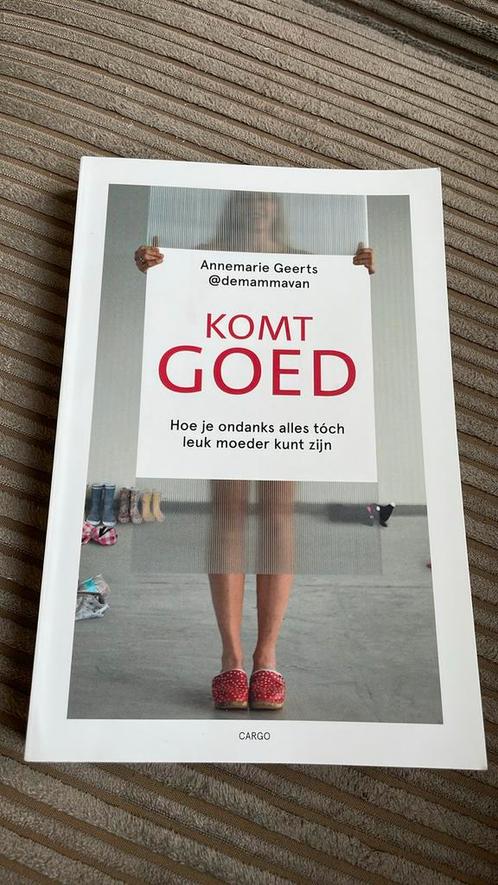 Annemarie Geerts - Komt goed, Boeken, Overige Boeken, Zo goed als nieuw, Ophalen of Verzenden