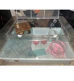 Hamsterkooi met toebehoren., Dieren en Toebehoren, Kooi, Minder dan 75 cm, Zo goed als nieuw, Hamster