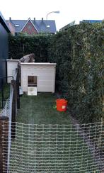 Kippenhok Ecoflex Fontana Jumbo, Dieren en Toebehoren, Overige Dieren, December, Meerdere dieren