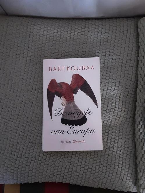 De vogels van Europa-------Bart Koubaa, Boeken, Romans, Zo goed als nieuw, Nederland, Ophalen of Verzenden