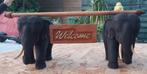 Uniek:1 set olifanten met welcome bord,Thai olifant boeddha,, Nieuw, Ophalen