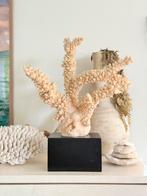 Groot imitatie koraal op zwarte sokkel PTMD, Huis en Inrichting, Woonaccessoires | Overige, Ophalen of Verzenden, Gebruikt