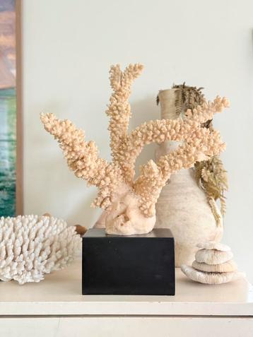 Groot imitatie koraal op zwarte sokkel PTMD beschikbaar voor biedingen