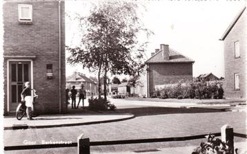 Goor Berkenstraat 