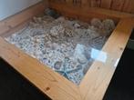 Schelpentafel met verzameling uit 1970, Ophalen