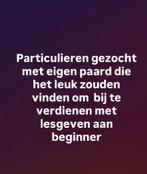 Betaalbaar Paardrijles gezocht, Ophalen of Verzenden, Nieuw