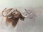 Buffels in de mist in acrylverf. 95x77 cm, Ophalen