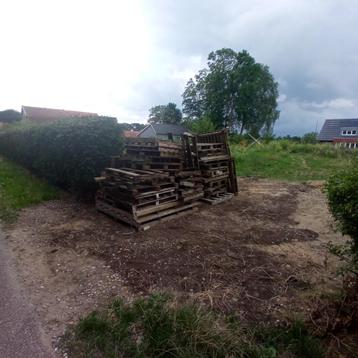 Pallethout brandhout  beschikbaar voor biedingen