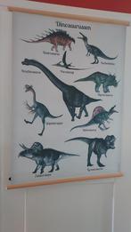 Dinosaurus schoolplaat, Ophalen of Verzenden, Zo goed als nieuw, Foto of Poster, 75 cm of meer