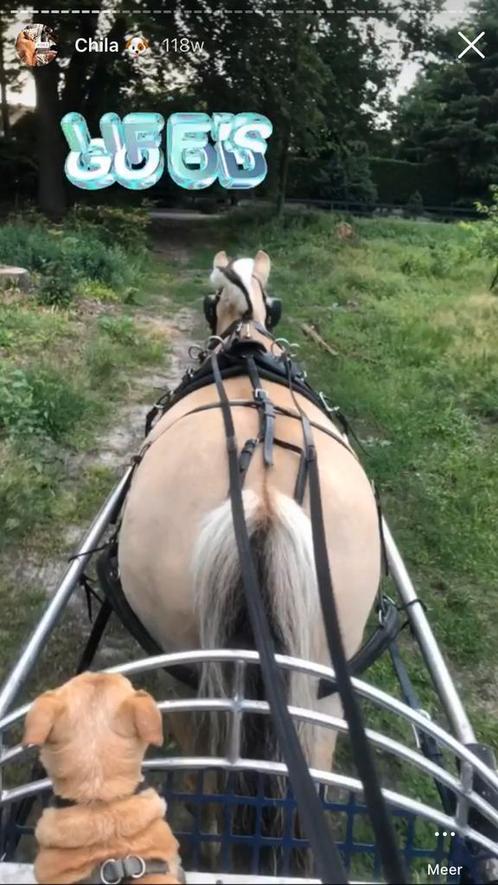 Arden enkelspan biothane marathon tuig, Dieren en Toebehoren, Paarden en Pony's | Hoofdstellen en Tuigage, Zo goed als nieuw, Overige soorten