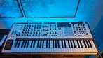 ARTURIA Polybrute 12, Muziek en Instrumenten, Synthesizers, Ophalen, Zo goed als nieuw, Overige aantallen, Overige merken