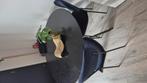 3 mooi donkerblauwe eetkamerstoelen, Ophalen, Nieuw