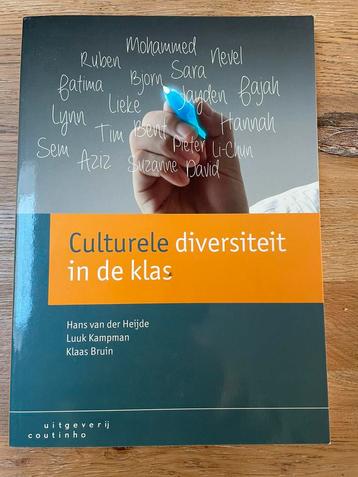 Luuk Kampman - Culturele diversiteit in de klas