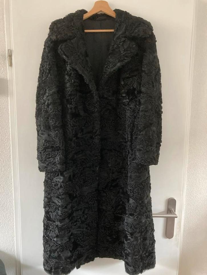 Echte Perzisch Lamsbont Jas, Kleding | Dames, Jassen | Winter, Gedragen, Maat 38/40 (M), Zwart, Ophalen of Verzenden