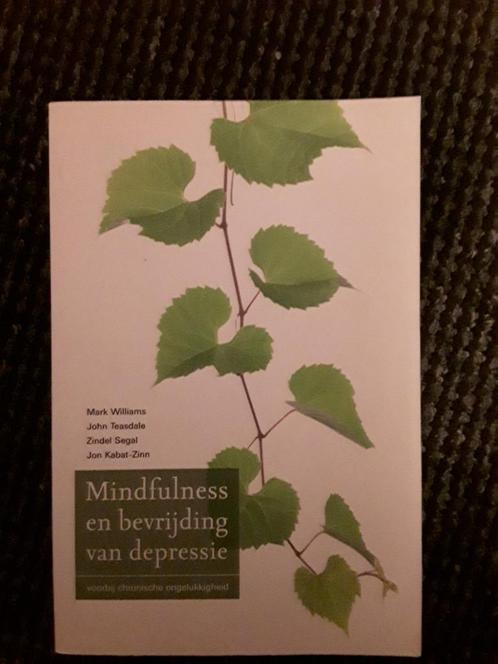 Mark Williams - Mindfulness en bevrijding van depressie, Boeken, Psychologie, Zo goed als nieuw, Ophalen