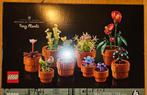 Tiny plants botanical collection lego 10329, Kinderen en Baby's, Speelgoed | Duplo en Lego, Ophalen, Zo goed als nieuw