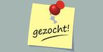 Schoonmaaker gezocht!, Starter, Overige vormen, Overige niveaus, Geschikt als bijbaan