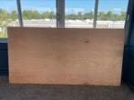 10 stuks multiplex platen 244 x 122, Doe-het-zelf en Verbouw, Platen en Panelen, Ophalen, Gebruikt, Multiplex, Minder dan 20 mm